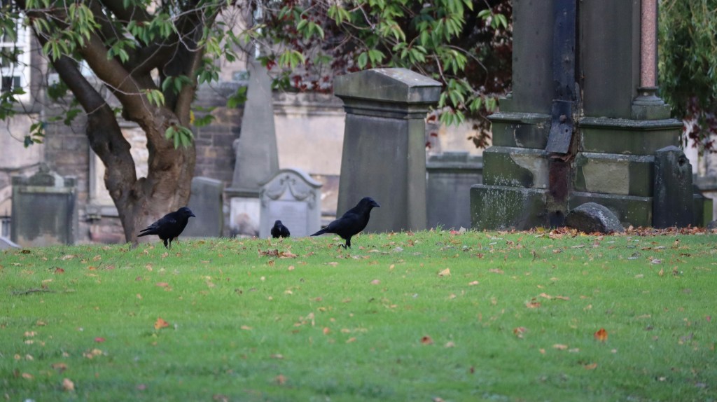 Turismo Dark:  o que é essa prática e como&nbsp;desmistificá-la